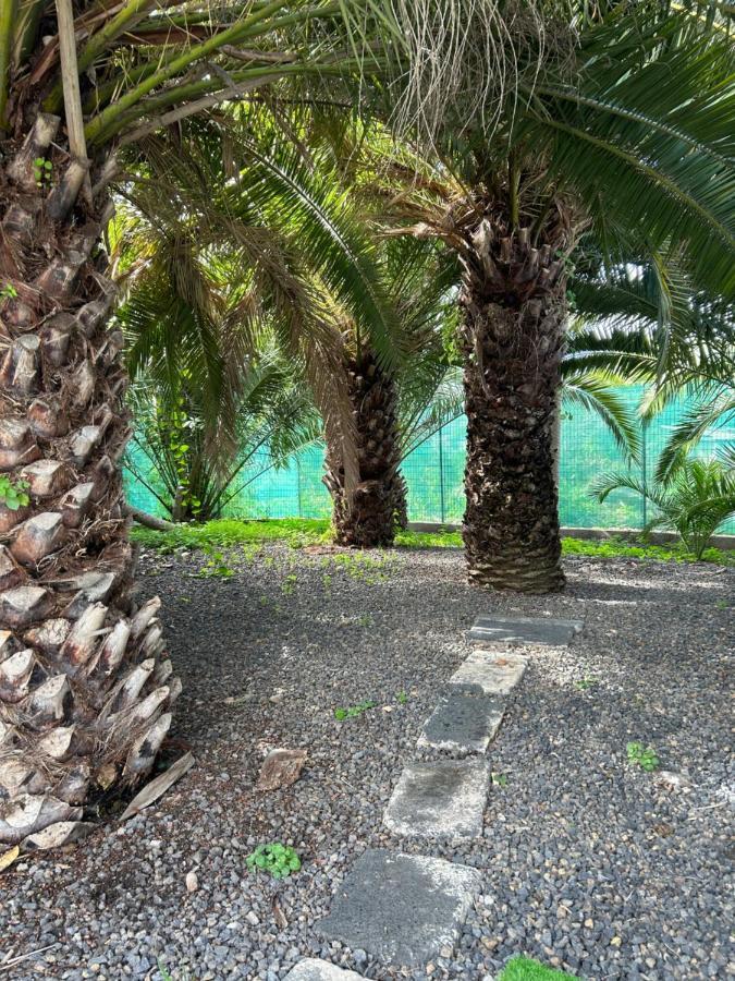 فيلا Casa Beatriz لا أوروتافا المظهر الخارجي الصورة